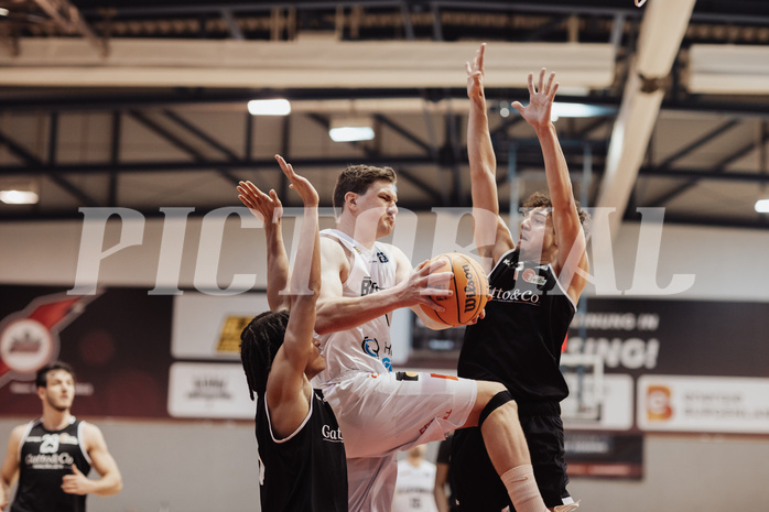 Basketball, Basketball Zweite Liga 2023/24, Grunddurchgang 14.Runde, Blackbirds G