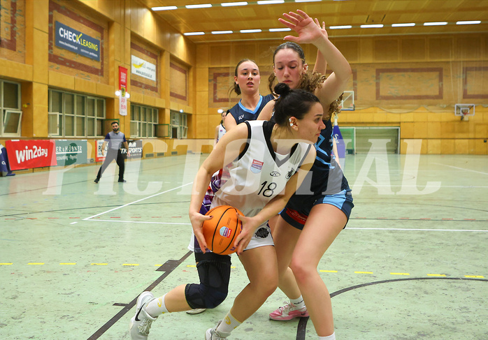 Basketball Damen Superliga 2024/25, Grunddurchgang 6.Runde Vienna United vs. Vienna Timberwolves


