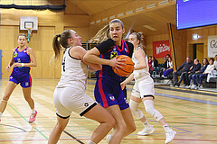 Basketball Austria Cup 2024/25, Viertelfinale Basket Flames vs. UBSC Graz


