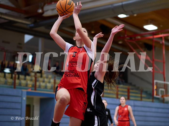 Basketball Superliga 2024/25, SLWU16 Traiskirchen Lionesses vs. BBC Nord Dragons


