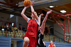 Basketball Superliga 2024/25, SLWU16 Traiskirchen Lionesses vs. BBC Nord Dragons


