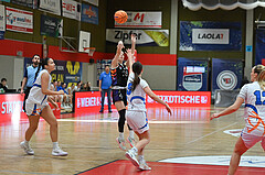 Basketball Superliga 2024/25, Grunddurchgang 9.Runde, DBB Wels vs Vienna United,

