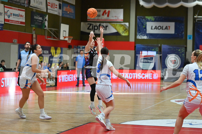 Basketball Superliga 2024/25, Grunddurchgang 9.Runde, DBB Wels vs Vienna United,


