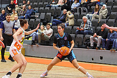 Basketball Damen Supercup 2024/25, 4.Runde BK Duchess Klosterneuburg vs. Vienna Timberwolves


