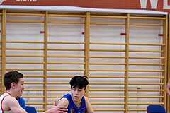 Basketball Superliga 2024/25, SLMU16 Traiskirchen Lions vs. FCN Baskets Wels


