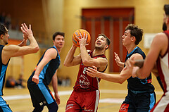 Basketball Zweite Liga 2024/25, Grunddurchgang 15.Runde Mistelbach Mustangs vs. Vienna Timberwolves


