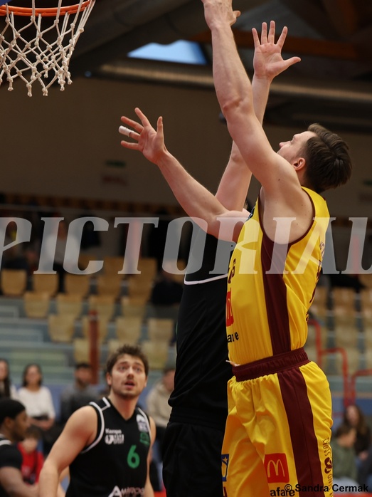 Basketball Zweite Liga 2024/25, Grunddurchgang 12.Runde Traiskirchen Lions NextGen vs. Deutsch Wagram Alligators