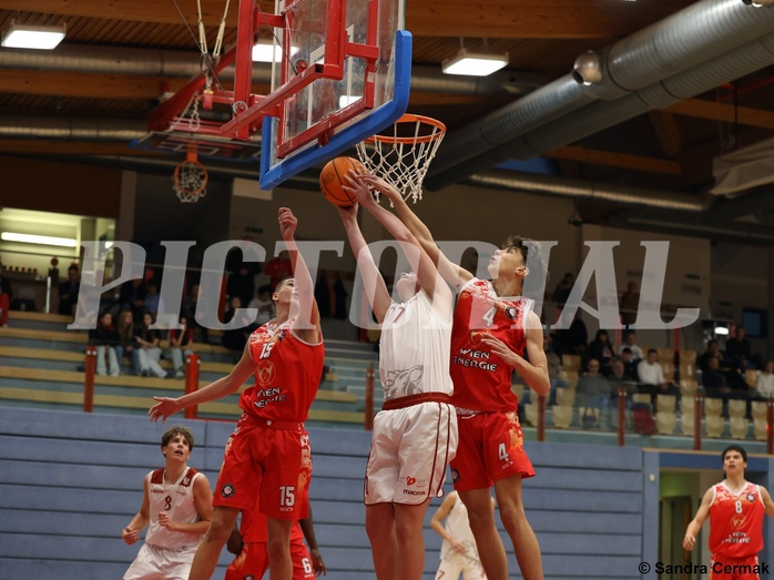 Basketball Superliga 2024/25, SLMU16 Traiskirchen Lions vs. BC Vienna


