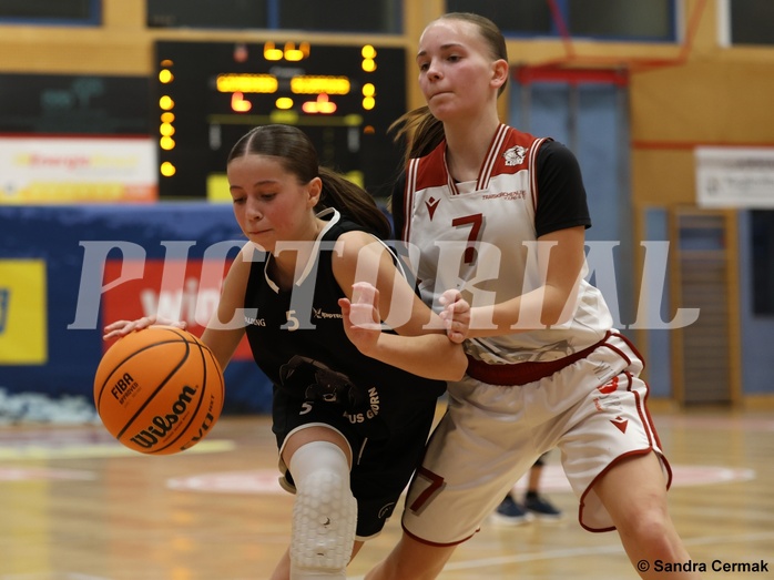 Basketball Superliga 2024/25, SLWU14 Traiskirchen Lionesses vs. ATUS Gratkorn Scorpions


