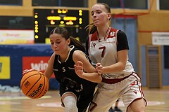 Basketball Superliga 2024/25, SLWU14 Traiskirchen Lionesses vs. ATUS Gratkorn Scorpions


