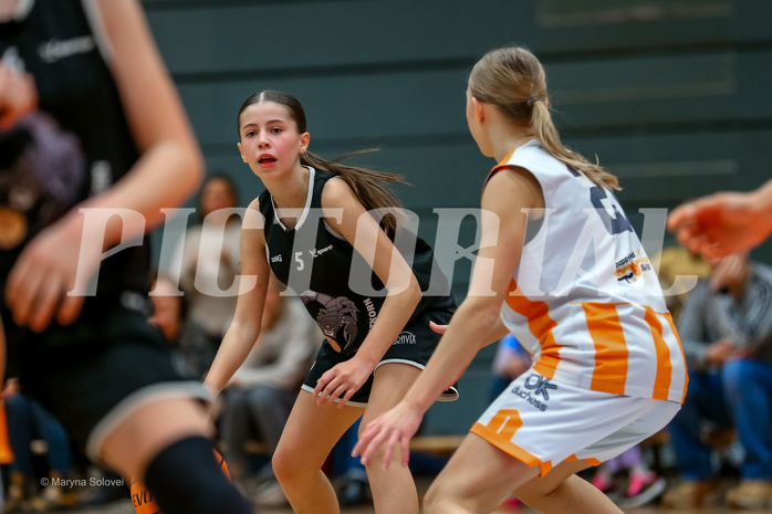 15.12.2024 Österreichischer Basketballverband 2024/25, SLWU14 Basket Duchess vs. Gratkorn Scorpions