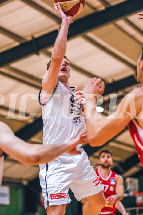 Basketball Basketball Superliga 2020/21, Grunddurchgang 8.Runde D.C. Timberwolves vs. Traiskirchen Lions
