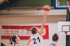 Basketball Basketball Superliga 2020/21, Grunddurchgang 10.Runde Vienna D.C. Timberwolves vs. BK Duchess
