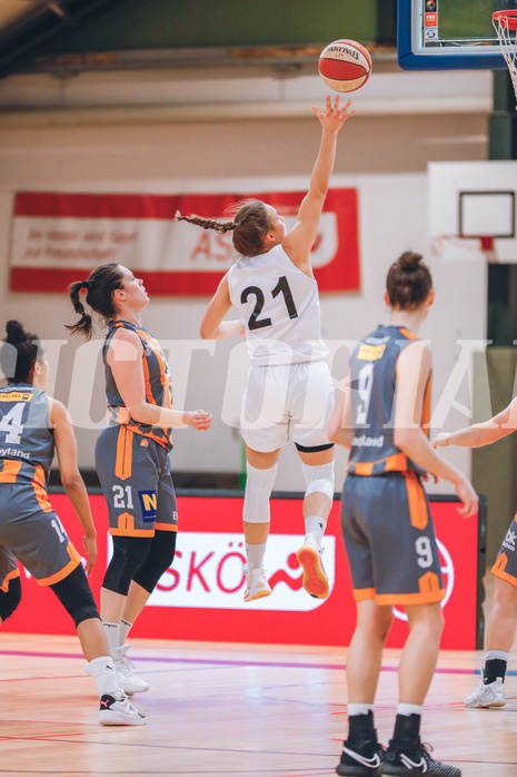 Basketball Basketball Superliga 2020/21, Grunddurchgang 10.Runde Vienna D.C. Timberwolves vs. BK Duchess
