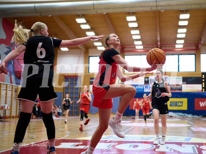 Basketball Superliga 2024/25, SLWU14 Traiskirchen Lionesses vs. Gratkorn Scorpions


