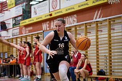 Basketball Superliga 2024/25, SLWU16 Traiskirchen Lionesses vs. BBC Nord Dragons


