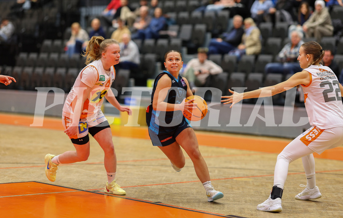 Basketball Damen Supercup 2024/25, 4.Runde BK Duchess Klosterneuburg vs. Vienna Timberwolves


