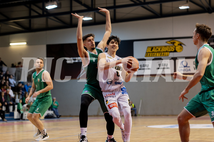 Basketball, Basketball Zweite Liga 2022/23, Playoff Viertelfinale Spiel 3, Blackbirds G