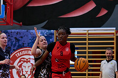 Basketball Superliga 2024/25, SLMU16 Traiskirchen Lionesses vs. VKL Vikings Kammer


