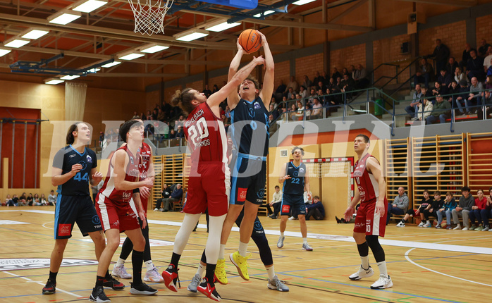 Basketball Zweite Liga 2024/25, Grunddurchgang 15.Runde Mistelbach Mustangs vs. Vienna Timberwolves