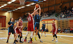 Basketball Zweite Liga 2024/25, Grunddurchgang 15.Runde Mistelbach Mustangs vs. Vienna Timberwolves


