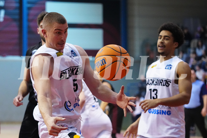 Basketball 2. Liga 2024/25, Grunddurchgang 20.Runde , Güssing vs. Mistelbach


