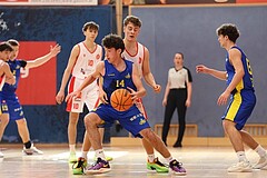 Basketball Superliga 2024/25, SLMU16 Traiskirchen Lions Academy  vs. UBSC Graz 


