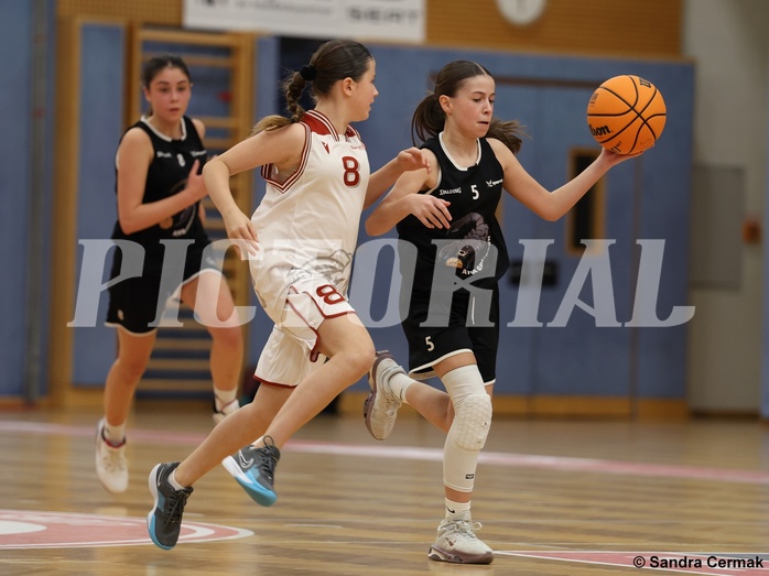 Basketball Superliga 2024/25, SLWU14 Traiskirchen Lionesses vs. ATUS Gratkorn Scorpions


