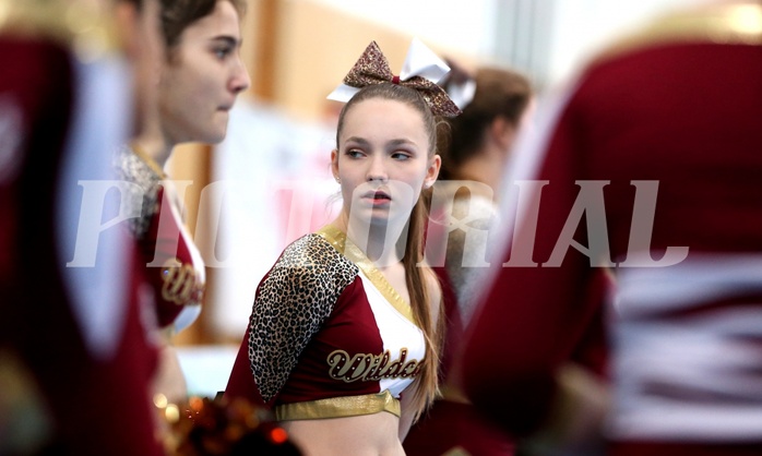 Basketball 2.Bundesliga 2018/19, Grunddurchgang 12.Runde Union Deutsch Wagram Alligators vs. BBC Dragonz Nord