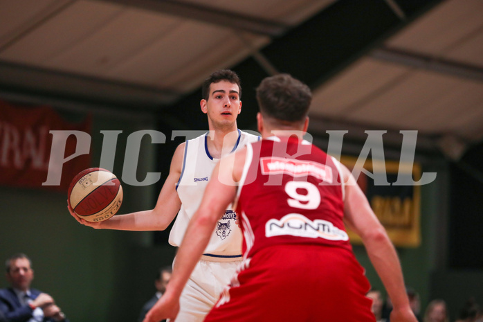 Basketball Basketball Austria Cup 2019/20, Achtelfinale D.C. Timberwolves vs. BC Vienna