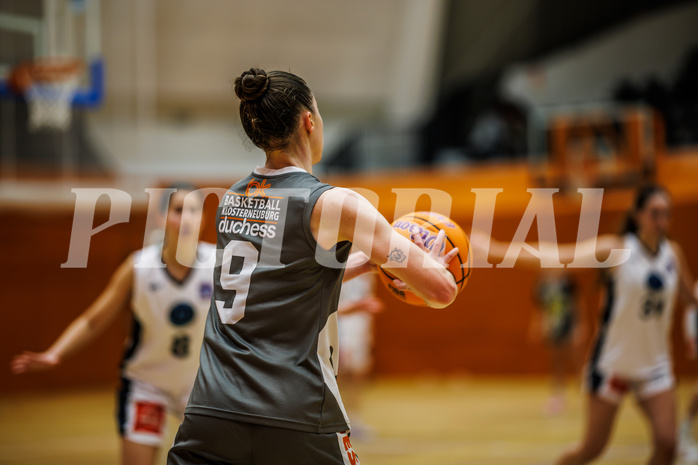 Basketball, Win2Day Basketball Damen Superliga 2024/25, Grunddurchgang 9.Runde, Vienna Timberwolves, Klosterneuburg Duchess, Michaela Wildbacher (9)