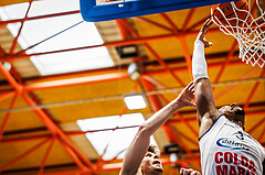 Basketball, win2day Basketball Superliga 2024/25, Playoffs Halbfinale 2. Spiel
, BBC Nord Dragonz, Gmunden Swans, Rayshawn Mart (3)