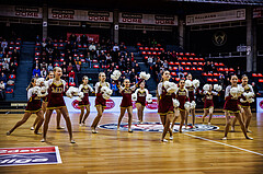 Basketball, Win2Day Superliga 2024/25, Grunddurchgang 13.Runde, BC Vienna, Traiskirchen Lions, Cheerleader