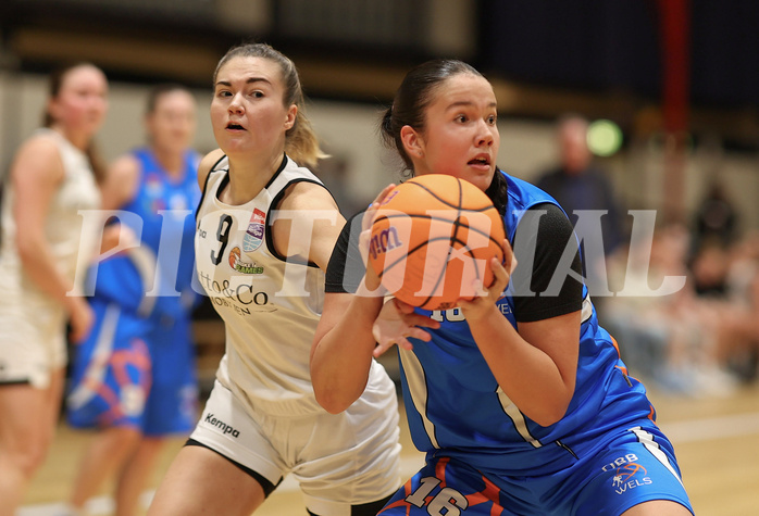 Basketball Damen Superliga 2023/24, Grunddurchgang 11.Runde Basket Flames vs. DBB Wels


