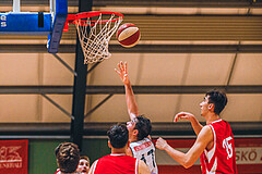 Basketball Basketball Superliga 2020/21, Grunddurchgang 8.Runde D.C. Timberwolves vs. Traiskirchen Lions