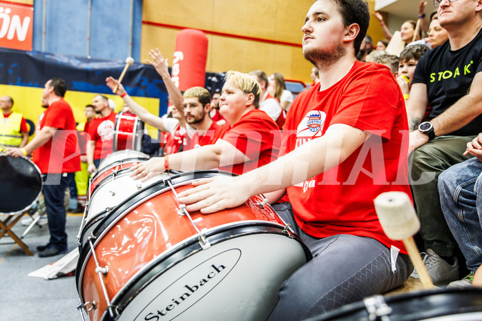 Basketball, Basketball Austria CUP 2023/24, Finale, Traiskirchen Lions, Flyers Wels, #lions fans