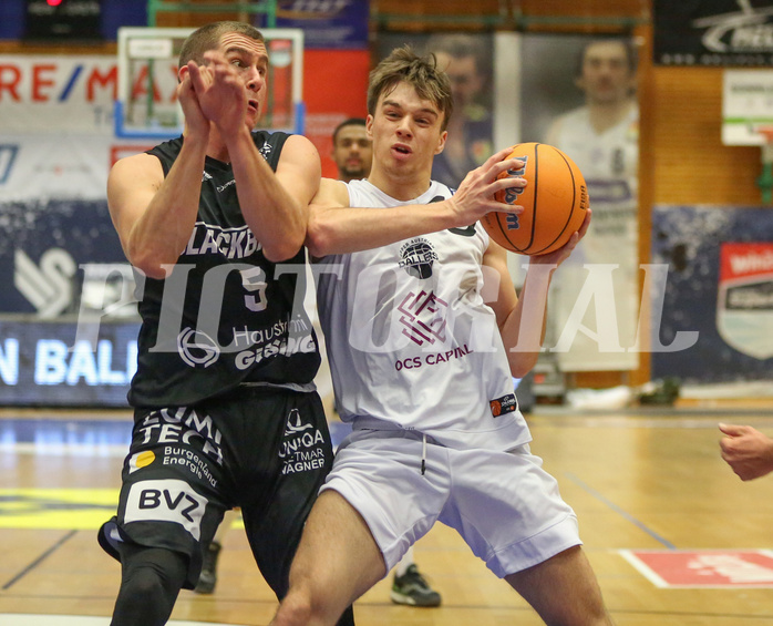 Basketball Zweite Liga 2024/25, Grunddurchgang 22.Runde Upper Austrian Ballers vs. Güssing Blackbirds


