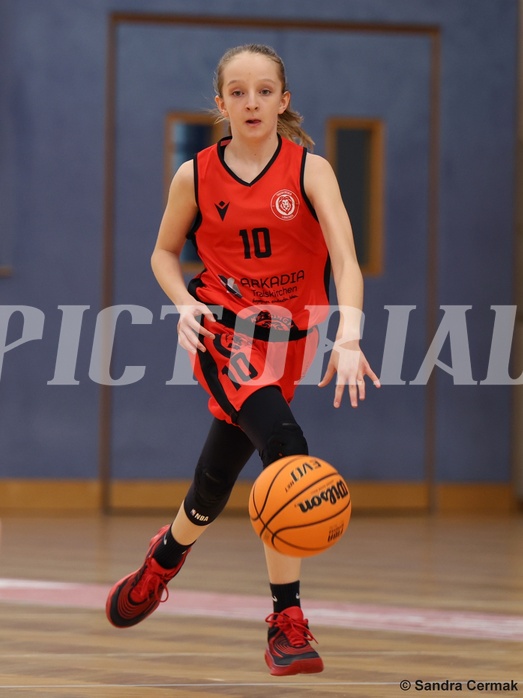 Basketball Superliga 2024/25, SLWU14 Traiskirchen Lionesses vs. UBI Graz


