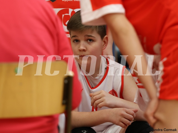 Basketball Superliga 2024/25, SLMU14 Traiskirchen Lions Academy vs. UBSC Juniors


