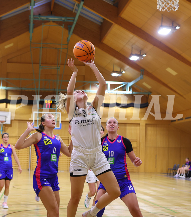 Basketball Austria Cup 2024/25, Viertelfinale Basket Flames vs. UBSC Graz


