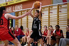 Basketball Superliga 2024/25, SLWU16 Traiskirchen Lionesses vs. BBC Nord Dragons


