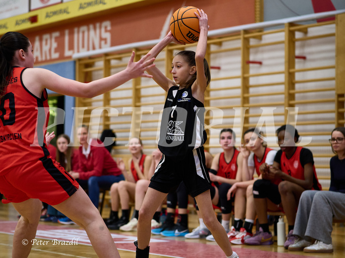 Basketball Superliga 2024/25, SLWU16 Traiskirchen Lionesses vs. BBC Nord Dragons


