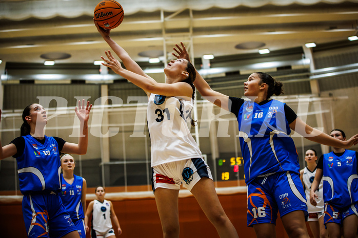 Basketball, Win2Day Basketball Damen Superliga 2023/24, Grunddurchgang 2.Runde, Vienna Timberwolves, DBB LZ OÖ, Larissa Serban (31)