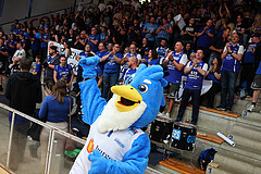 Basketball Superliga 2024/25, Playoffs, Finale Spiel 3 Oberwart Gunners vs. BBC Nord Dragonz


