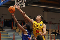 Basketball Zweite Liga 2024/25, Grunddurchgang 1.Runde Traiskirchen Lions NextGen vs. Kufstein Towers


