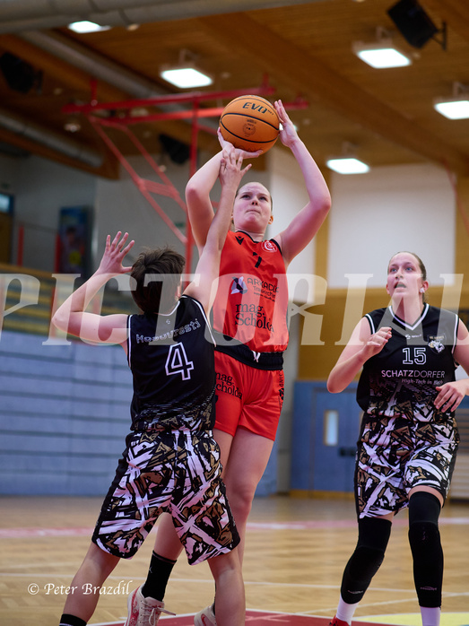 Basketball Superliga 2024/25, SLMU16 Traiskirchen Lionesses vs. VKL Vikings Kammer


