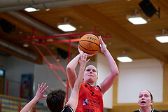 Basketball Superliga 2024/25, SLMU16 Traiskirchen Lionesses vs. VKL Vikings Kammer


