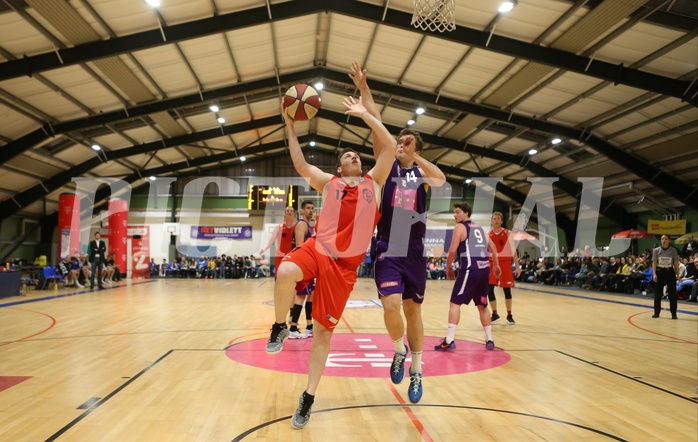 Basketball 2.Bundesliga 2017/18, Grundurchgang 12.Runde D.C. Timberwolves vs. Mistelbach Mustangs


