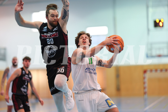 Basketball Zweite Liga 2024/25, Grunddurchgang 19.Runde Union Deutsch Wagram Aligators vs. Mistelbach Mustangs
