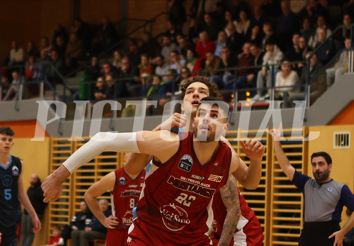 Basketball Zweite Liga 2024/25, Grunddurchgang 15.Runde Mistelbach Mustangs vs. Vienna Timberwolves


